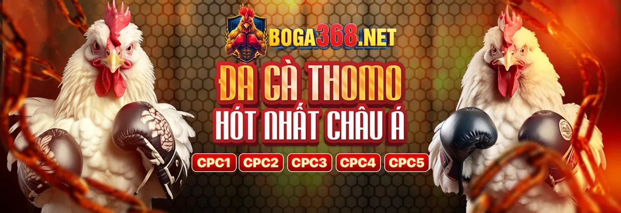An toàn và bảo mật 789pet chính thức